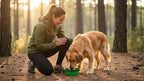 Silicone Foldable Pet Food Water Feeder, Collapsible Travel Bowl for Dog and Cat, Outdoor Portable (Green)