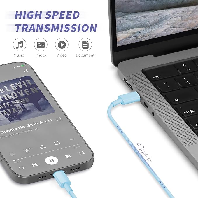 iPhone Charger Fast Charging,[MFi Certified] 2Pack 20W Type C Fast Charger Block with [10FT&6FT] USB C to Lightning Cable Compatible for iPhone 14/13/12/11 Pro Max/Xs Max/XR/X,iPad