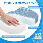 TushGuard Office/Car Seat Cushion, Non-Slip Sciatica & Back Coccyx Tailbone Pain Relief Chair Pad, Memory Foam Butt Pillow for Computer Desk, Wheelchair, Driving (Light Blue, XX-Large)