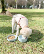 Barkin’ Trails Travel Dog Bowls, Portable Outdoor Water, BPA-Free Water Bowl Set, Food Grade Plastic Dog Travel Bowl, Dog Camping Essentials, Travel Container