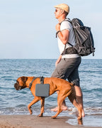 Collapsible Portable 2-in-1 Dog Bowl, Travel Dog Bowl Integrated, Silicone Foldable Expandable Food Water Bowl with Carabiner - Anti-Spill and Anti-Skid - for Camping/Traveling LPFLASAT (Grey)