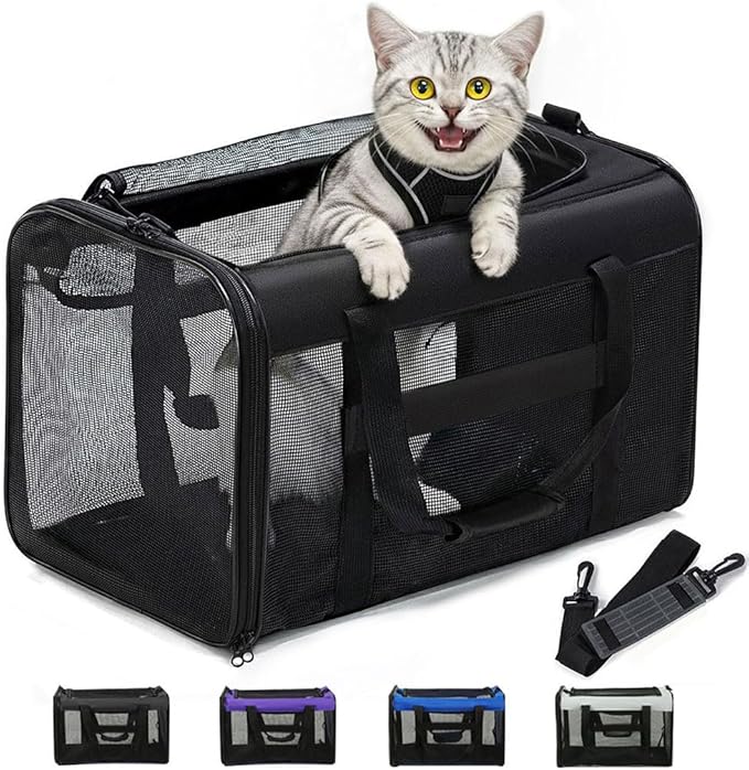 Conlun Cat Carrier Bag,Soft-Sided Pet Carriers for Dogs with 4-Sided Mesh,Airline Approved Cat Transport Carrier for Small&Medium Cats Kitten Puppy Up to 15Lb,Collapsible Cat Travel Carrier-M,Black