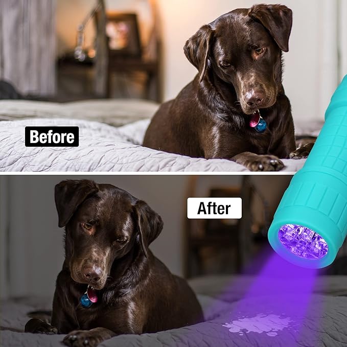EverBrite Black Light Flashlight 6-Pack, UV Mini Flashlight, 9-Led 395nm Detector for Pet Urine, Stains, Scorpions, 18 AAA Batteries Included