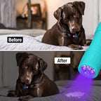 EverBrite Black Light Flashlight 6-Pack, UV Mini Flashlight, 9-Led 395nm Detector for Pet Urine, Stains, Scorpions, 18 AAA Batteries Included