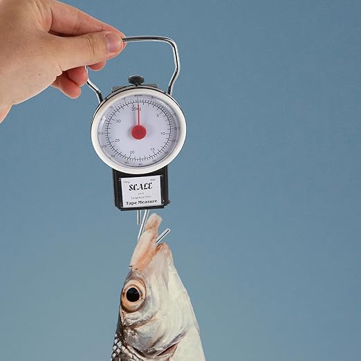 Alipis Portable Hanging Luggage Scale 35kg Small Travel Weight Hook Spring Scale for Suitcases and Outdoor Use