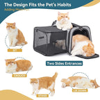Petsfit Expandable Cat Carrier, 16"X10" X9" Pet Carrier Airline Approved, Soft-Sided Collapsible, Pet Carrier with Locking Safety Zippers, Removable Soft Plush Mat, Pocket for Pets up to 10lbs, Gray,S