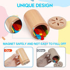 Montessori Toys for Toddler, Fine Motor Skills Toys Wooden Color Sorting Stacking Toy for Boys Girls Educational Gift for Kids Birthday