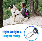 Dog Bowl Large Pet Collapsible Bowls, 2 Pack Collapsible Dog Water Bowls for Cats Dogs, Portable Pet Feeding Watering Dish for Walking Parking Traveling with 2 Carabiners (Large, Pink+Purple)