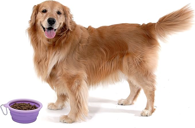 Collapsible Silicone Water Travel Bowl with Clip for Dog and Cat, Portable and Durable Pop-up Feeder for Convenient On-The-go Feeding – Size: Large (5 Cups) Purple – 2 Pack