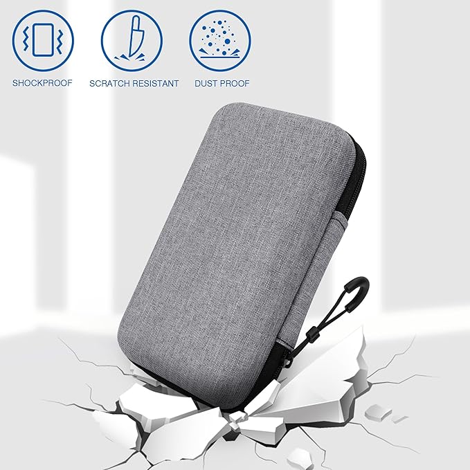 Solar Power Bank Carrying Case - Portable Hard Travel Storage Box for Solar Chargers, Compatible with Rasbes 38800mAh, Durecopow 20000mAh (Silver)