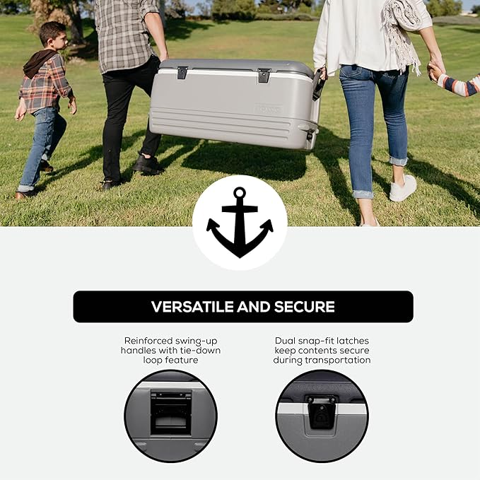 Igloo Hard Cooler | Polar & Party Bar Series | Insulated Ice Chests