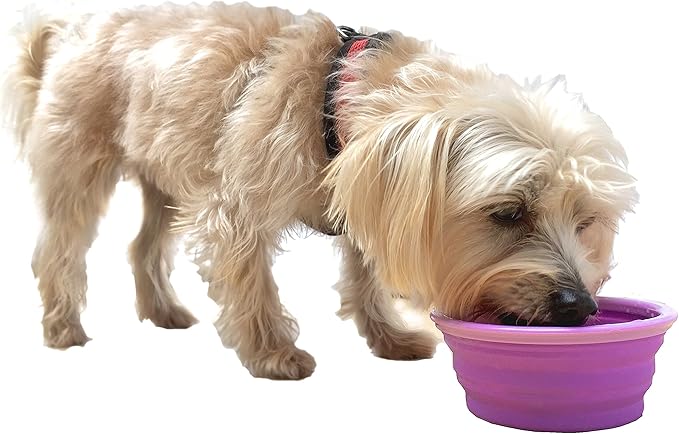 Collapsible Silicone Water Travel Bowl with Clip for Dog and Cat, Portable and Durable Pop-up Feeder for Convenient On-The-go Feeding – Size: Small (1.5 Cups) Purple – 2 Pack