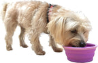 Collapsible Silicone Water Travel Bowl with Clip for Dog and Cat, Portable and Durable Pop-up Feeder for Convenient On-The-go Feeding – Size: Small (1.5 Cups) Purple – 2 Pack