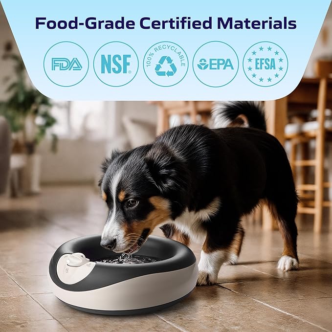 Maxi Filtered Dog Water Bowl, 2L/68oz - No Power or Batteries Needed, Auto-Refill, No Spill, Portable Travel Lock, Carbon Filter, BPA-Free, Dogs & Cats