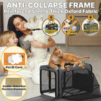 PAWZIDEA Expandable Pet Carrier Airline Approved, 18"×11"×11" Small Dog Carriers, Collapsible Top-Load Cat Carrier for 2 Cats Under Seat, Soft-Sided Puppy & Animal Travel Bag, ID Card, Up to 15lbs