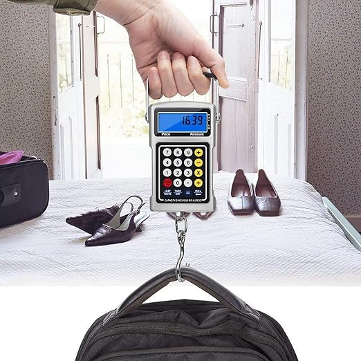 Hook Scale,Handheld Temp Display Clock - KG/G/LB Luggage Scale Hook,for Luggage Farm Market Fishing Travel Shopping Outdoor Hunting Men Women Fishermen