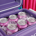 Igloo Tag Along Too Coolers | Insulated Hard Shell Picnic Style Cooler | Rolling Ice Chest