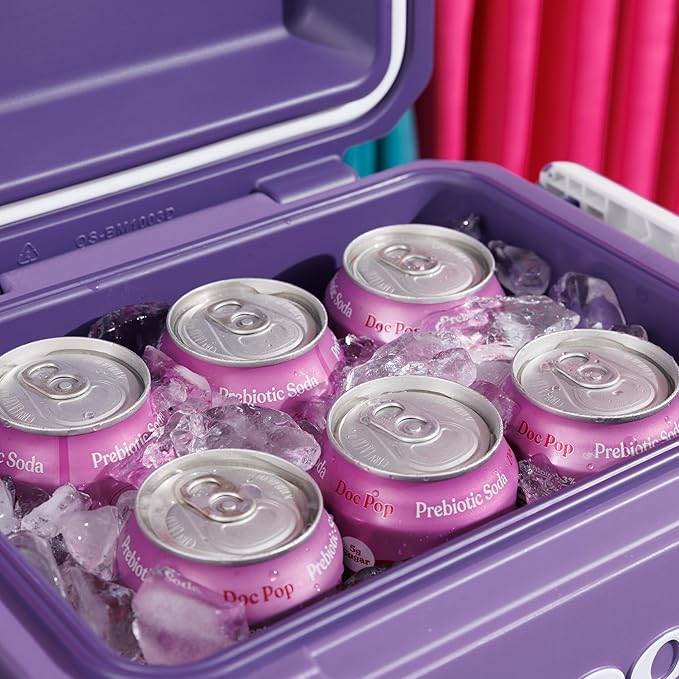 Igloo Tag Along Too Coolers | Insulated Hard Shell Picnic Style Cooler | Rolling Ice Chest