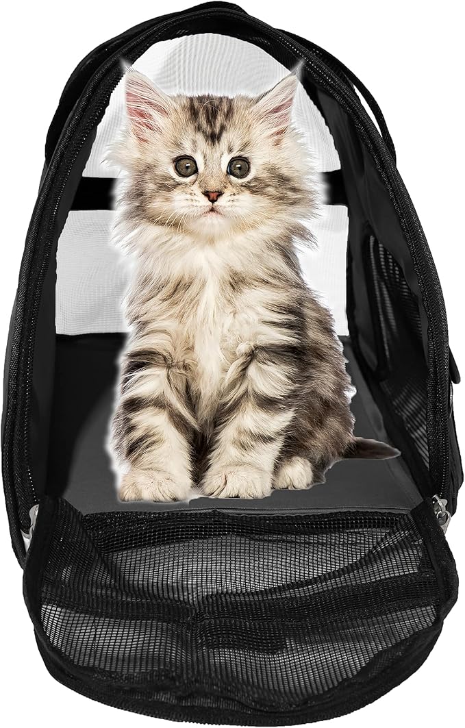 MuchL Pet Carrier Soft-Sided Carriers for Cat Carriers Dog Carrier for Small Medium Cats Dogs Puppies Pet Carrier Airline Approved Cat Dog Pet Travel Carrier (Medium,Black)