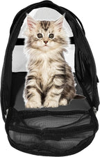MuchL Pet Carrier Soft-Sided Carriers for Cat Carriers Dog Carrier for Small Medium Cats Dogs Puppies Pet Carrier Airline Approved Cat Dog Pet Travel Carrier (Medium,Black)