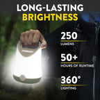 Eveready LED Camping Lantern X-250 (2-Pack), Super Bright Tent Lights, Rugged Water Resistant LED Lanterns, 100 Hour Run-time (Batteries Included), Green/Tan
