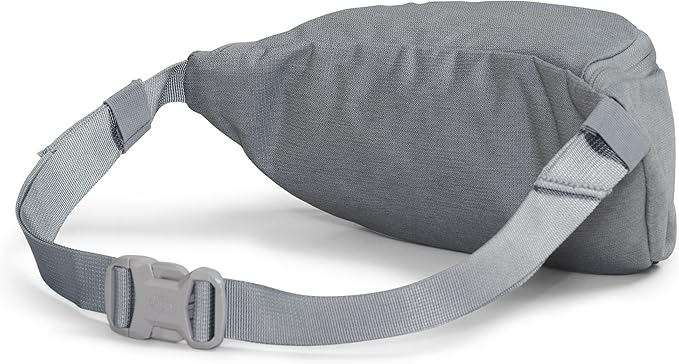 THE NORTH FACE Jester Lumbar Pack | Fanny Pack With Water Repellent Finish, 2.2 Liters, Crossbody Adjustable Strap