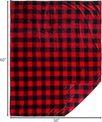 CARSTENS, INC. Travel Blanket, Premium Compact 2-in-1 Airplane Blanket/Pillow, Red Buffalo Plaid