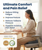 Everlasting Comfort Doctor Recommended Memory Foam Seat Cushion for Office Chairs & Car - Ergonomic Office Desk Accessories - Cushions for Tailbone Pain Relief, Sciatica (Gray, Large)