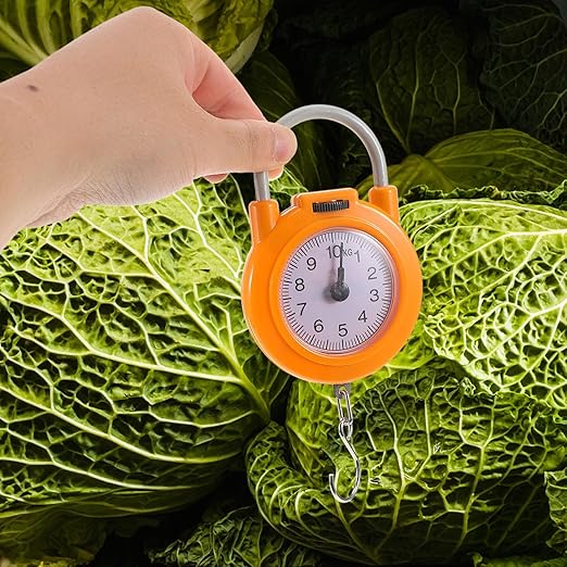 Portable High Precision Luggage Weight Scale with Hook Mini Hanging Travel Scale for Suitcase and Bag Weighing Lightweight Electronic Spring for Home and Travel Use