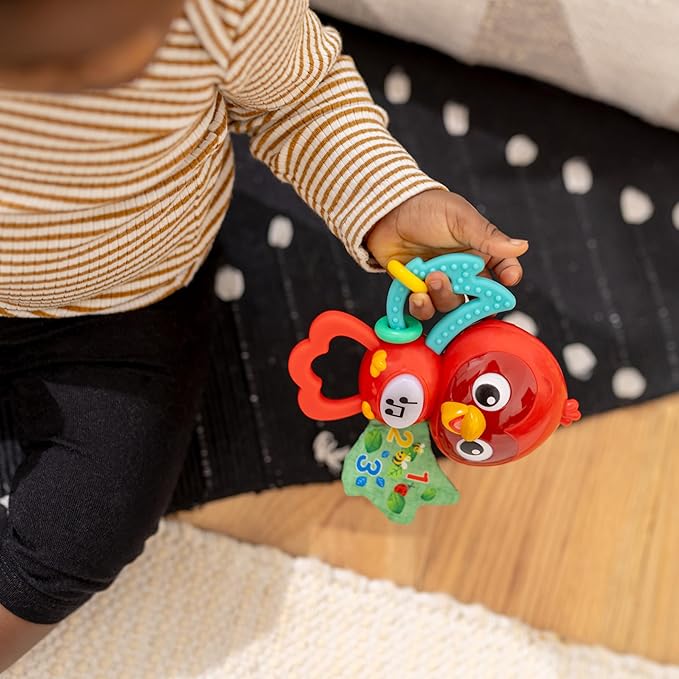 Baby Einstein Roxys Bright Flight Musical Baby Toy & Teether, Plays Real Bird Sounds with 10+ Melodies, Multisensory, Ages 3 Months and Up