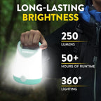 Eveready LED Camping Lantern X-250 (2-Pack), Super Bright Tent Lights, Rugged Water Resistant LED Lanterns, 100 Hour Run-time (Batteries Included), Teal