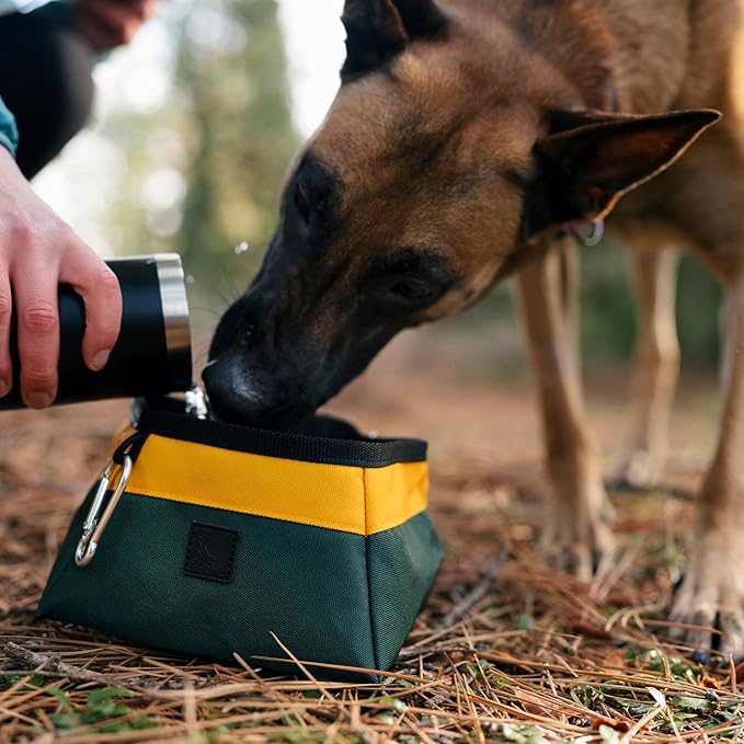 P.L.A.Y. Collapsible Dog Water & Food Bowl - Great Dogs, Travel, On-the-go, Hiking, Outdoors - Portable, Folds Flat, Waterproof, Easy Clean, 2.3L Capacity (Wildflower)