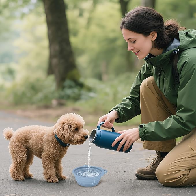 2-Pack Collapsible Silicone Dog Bowl,13oz Portable Pet Food & Water Dish, Travel Bowl with Non-Slip Textured Base (Lick Mat Feature) for Peanut Butter, Yogurt Pink&Blue