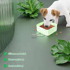 Cute Collapsible Silicone Dog Bowl with Carabiner - Portable Travel Pet Food & Water Dish for Walking, Hiking, Camping - Folds to Key Size, 350ml (Mint Green)