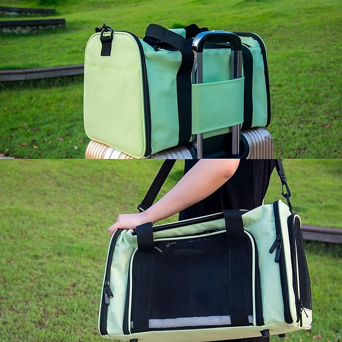 Soft Sided Carrier for Small Medium Cats Dogs ,Removable Pad Collapsible Travel Pet Carrier Large Green