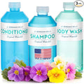 Bergman Kelly - Replacement Shampoo, Conditioner & Body Wash Refill Set - 12.6 oz, 3 Piece Set - Tropical Waterfall - for Dispensers - Delight Guests with Invigorating & Refreshing Hotel Hospitality