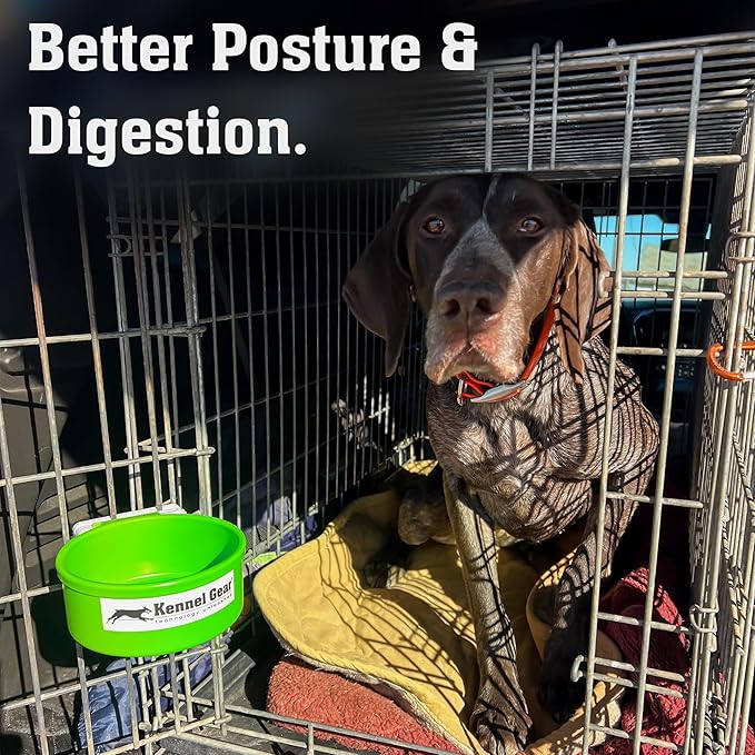 Dog Crate Water Bowl No Spill, 20oz Food-Grade Polypropylene Feeder, Secure Crate Mount with Covered Parts, Travel-Ready & Easy to Clean (Green)