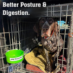 Dog Crate Water Bowl No Spill, 20oz Food-Grade Polypropylene Feeder, Secure Crate Mount with Covered Parts, Travel-Ready & Easy to Clean (Green)