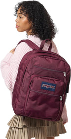 JanSport Laptop Backpack - Computer Bag with 2 Compartments, Ergonomic Shoulder Straps, 15” Laptop Sleeve, Haul Handle - Cherry Lacquer
