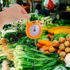 Healifty Portable Mini Spring Luggage Weight Scale with Hook High Precision Handheld Travel Scale for Suitcases and Fishing for Weighing
