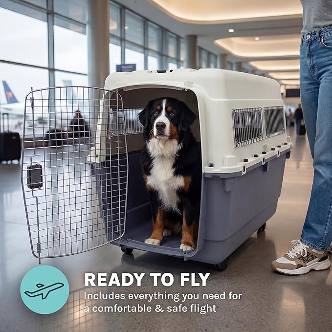 SportPet Airline Compliant XXX-LARGE 48" Travel Dog Kennel-Durable Plastic Airline Pet Carrier w/Removable Wheels & Food Bowls, Collapsible Indoor/Outdoor Dog Kennel, Dogs up to 44"L & 33"H-Cream/Gray