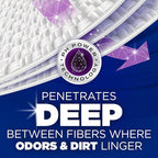 ARM & HAMMER Deep Clean Odor Formula Laundry Detergent Power Paks, Radiant Burst Scent, 32 Count, 32 Loads