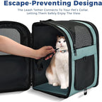 Apollo Walker Dog & Cat Carrier Backpack for 4-18lb Pets - Ventilated Safe Design with Padded Back Support, Breathable Mesh Pet Backpack for Hiking, Travel, Outdoor (Blue)