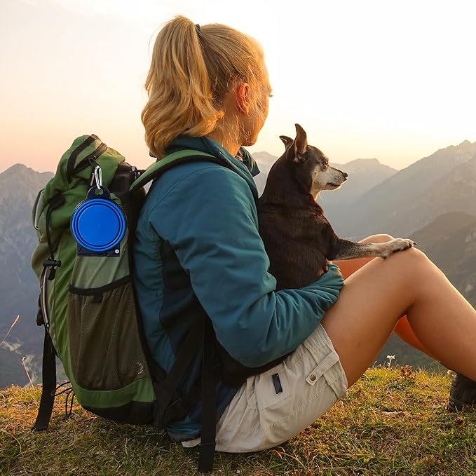 SLSON Collapsible Dog Dual Bowls Reinforced Rim 180 Degrees Flip Over Foldable Double Bowl with Lock Clips More Stable Dog Travel Bowls Pet Food Water Feeder (Blue)