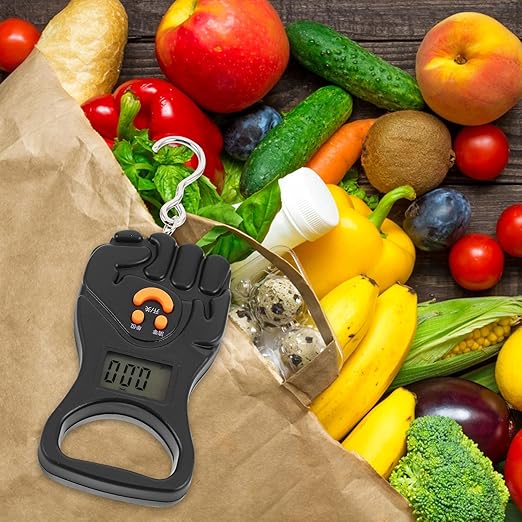 Beaupretty Portable Digital Luggage Scale Handheld Mini 50kg Travel Suitcase Weight Scale with Rechargeable Battery for Fishing and Saltwater Fishing Gear
