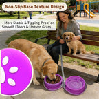 Collapsible Dog Bowls, 2-in-1 Silicone Pet Food and Water Bowl with Carabiner, Portable Double Compartment Dish for Travel, Camping, Hiking Puppy Essentials (Purple)