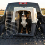 SportPet Airline Compliant XX-LARGE 39" Travel Dog Kennel-Durable Plastic Airline Pet Carrier w/ Removable Wheels & Food Bowls, Collapsible Indoor/Outdoor Dog Kennel, Dogs up to 36"L & 27"H-Cream/Gray