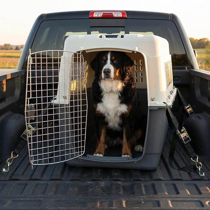 SportPet Airline Compliant XX-LARGE 39" Travel Dog Kennel-Durable Plastic Airline Pet Carrier w/ Removable Wheels & Food Bowls, Collapsible Indoor/Outdoor Dog Kennel, Dogs up to 36"L & 27"H-Cream/Gray