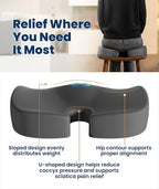 Everlasting Comfort Doctor Recommended Memory Foam Seat Cushion for Office Chairs & Car - Ergonomic Office Desk Accessories - Cushions for Tailbone Pain Relief, Sciatica (Gray, Large)