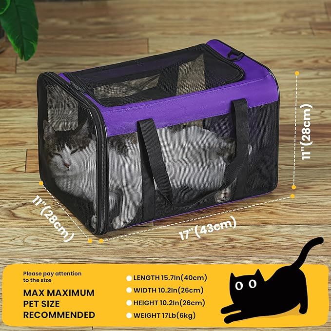 Conlun Cat Carrier Bag,Soft-Sided Pet Carriers for Dogs with 4-Sided Mesh,Airline Approved Cat Transport Carrier for Small&Medium Cats Kitten Puppy Up to 15LB,Collapsible Cat Travel Carrier-M,Purple